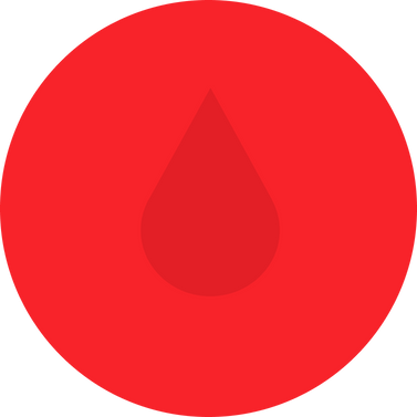 Safeguard Icon