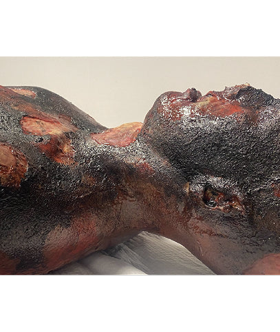 Lifeless Burnt /
