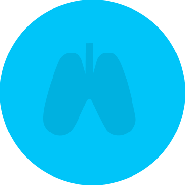 Safeguard Icon